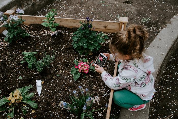 Aplicaciones para Identificar Plantas